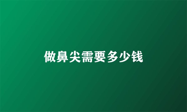 做鼻尖需要多少钱