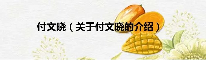 付文晓（关于付文晓的介绍）