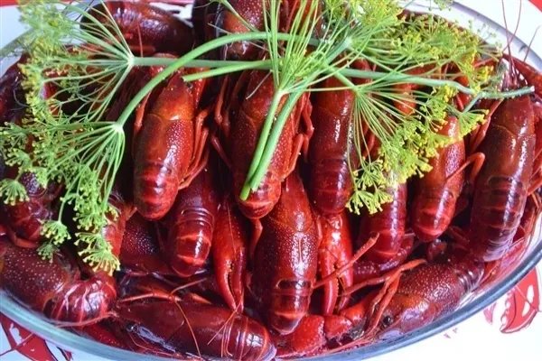 建议加强小龙虾等入侵物种生态防控,入侵物种对环境有怎样的影响?