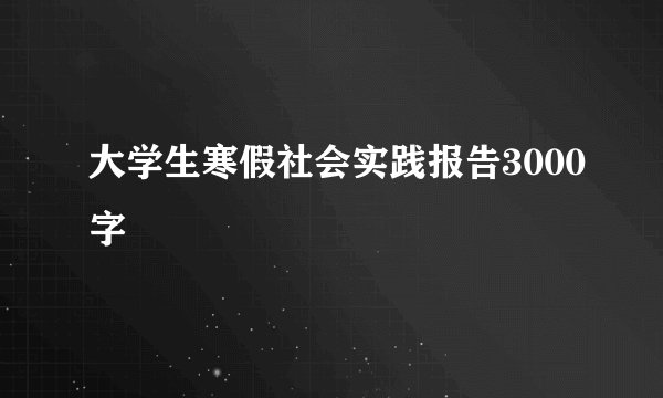 大学生寒假社会实践报告3000字