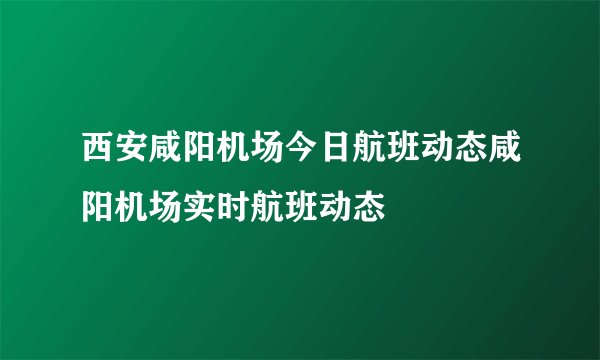 西安咸阳机场今日航班动态咸阳机场实时航班动态