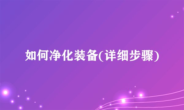 如何净化装备(详细步骤)
