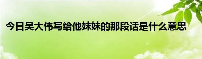 今日吴大伟写给他妹妹的那段话是什么意思