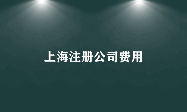 上海注册公司费用