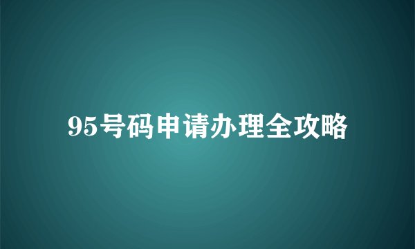 95号码申请办理全攻略