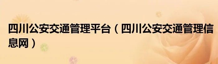 四川公安交通管理平台(四川公安交通管理信息网)