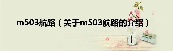 m503航路（关于m503航路的介绍）