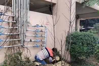 自如回应将中水接入自来水,此事的前因后果是什么?