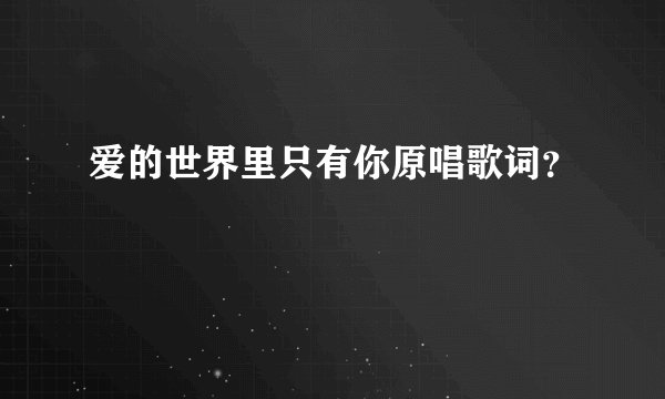 爱的世界里只有你原唱歌词？