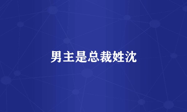 男主是总裁姓沈