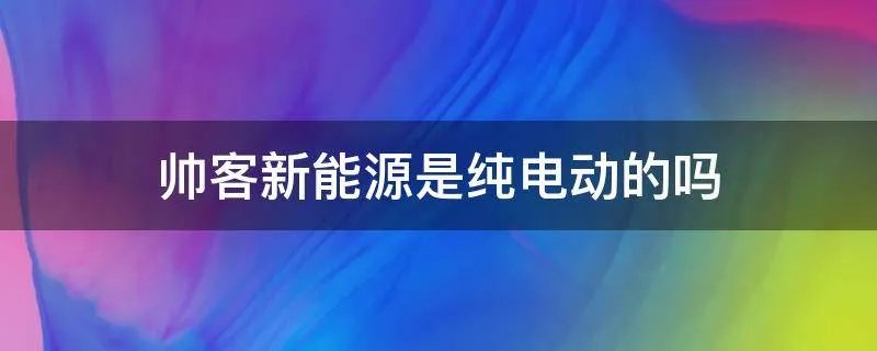 帅客新能源是纯电动的吗