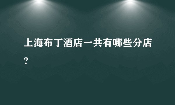 上海布丁酒店一共有哪些分店？