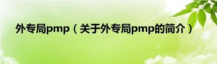 外专局pmp（关于外专局pmp的简介）