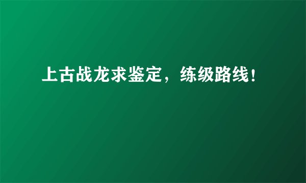 上古战龙求鉴定，练级路线！