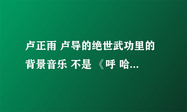 卢正雨 卢导的绝世武功里的背景音乐 不是 《呼 哈》 的那个