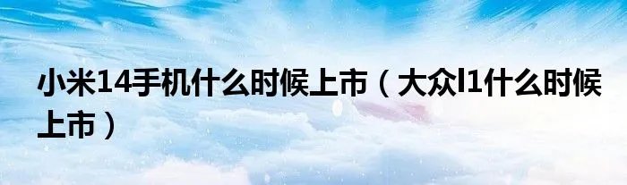 小米14手机什么时候上市(大众l1什么时候上市)