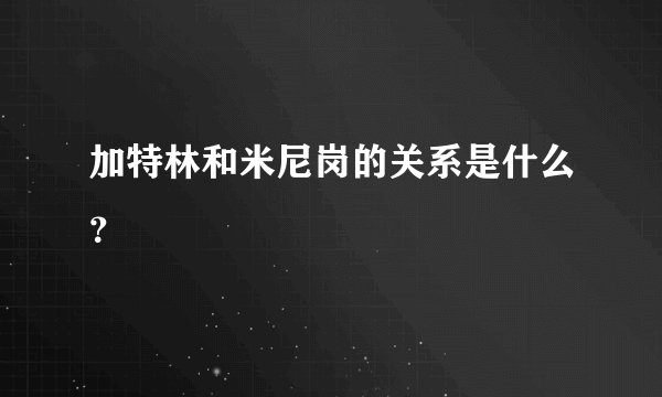 加特林和米尼岗的关系是什么？