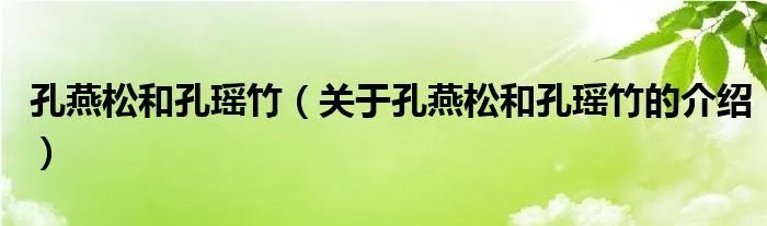 孔燕松和孔瑶竹（关于孔燕松和孔瑶竹的介绍）