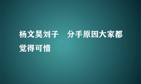 杨文昊刘子玥分手原因大家都觉得可惜