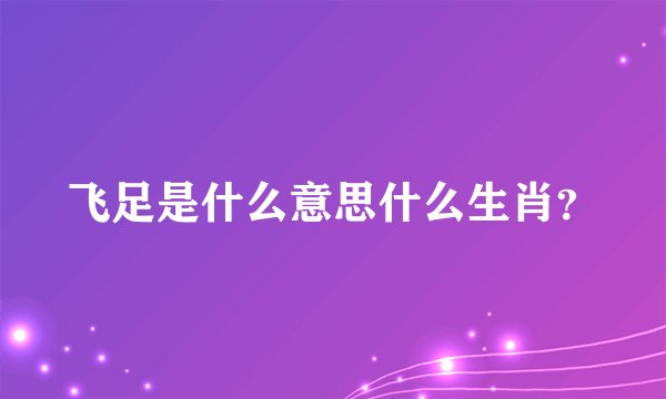 飞足是什么意思什么生肖？