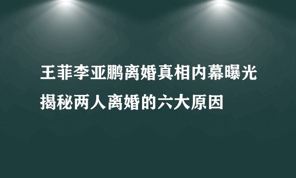 王菲李亚鹏离婚真相内幕曝光揭秘两人离婚的六大原因