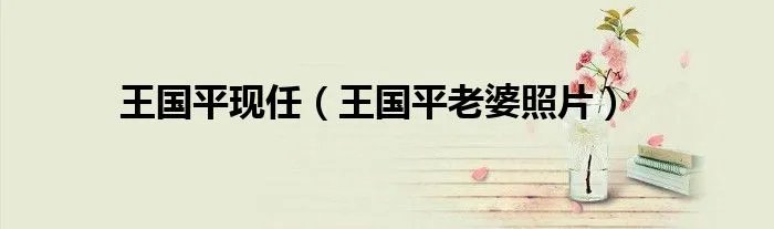 王国平现任（王国平老婆照片）