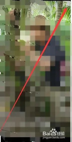 罗永浩直播在哪可以看?罗永浩直播能回放吗?