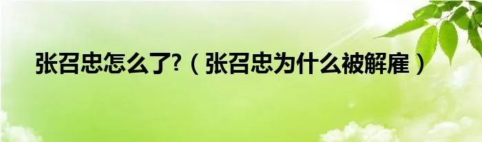 张召忠怎么了?（张召忠为什么被解雇）