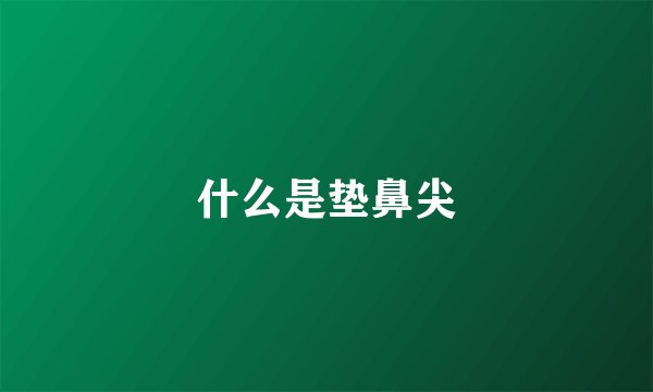 什么是垫鼻尖