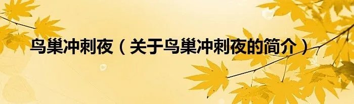鸟巢冲刺夜（关于鸟巢冲刺夜的简介）