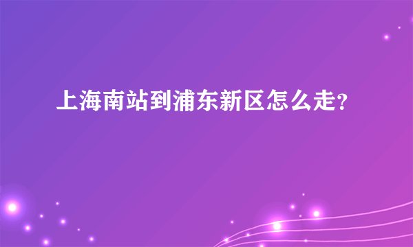 上海南站到浦东新区怎么走？