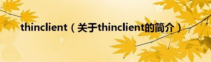 thinclient(关于thinclient的简介)
