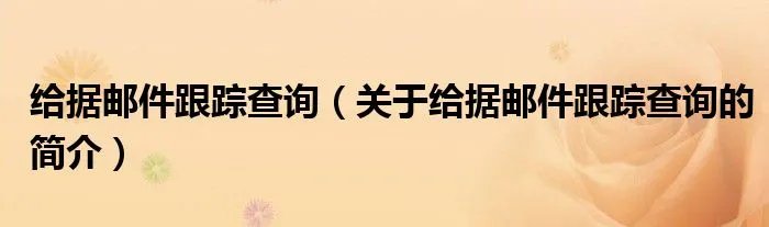 给据邮件跟踪查询（关于给据邮件跟踪查询的简介）