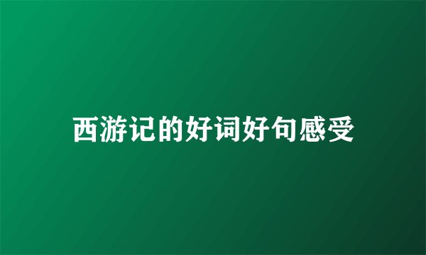 西游记的好词好句感受