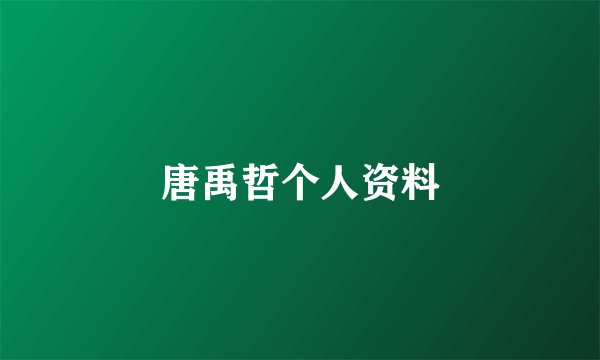 唐禹哲个人资料
