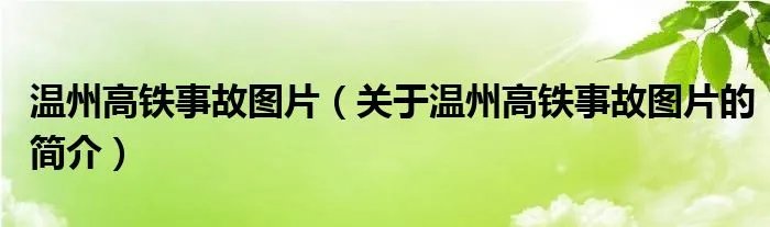 温州高铁事故图片（关于温州高铁事故图片的简介）