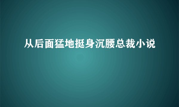 从后面猛地挺身沉腰总裁小说