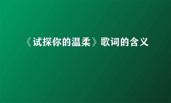 《试探你的温柔》歌词的含义