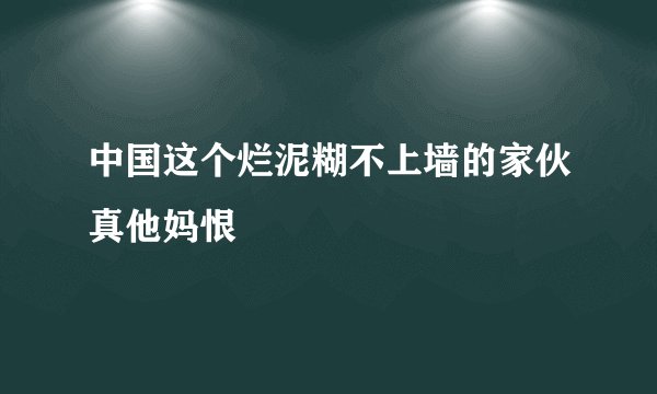 中国这个烂泥糊不上墙的家伙真他妈恨