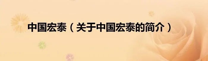 中国宏泰（关于中国宏泰的简介）