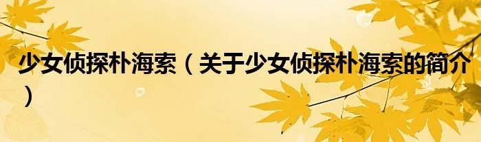 少女侦探朴海索（关于少女侦探朴海索的简介）
