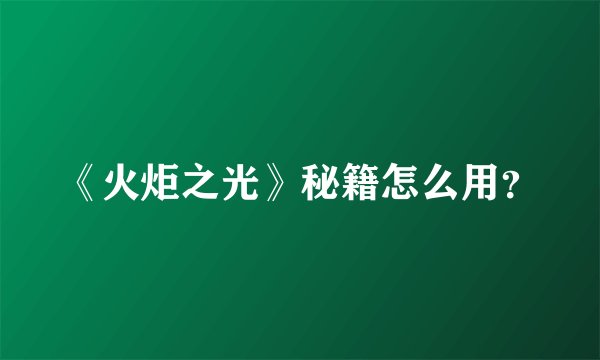 《火炬之光》秘籍怎么用？
