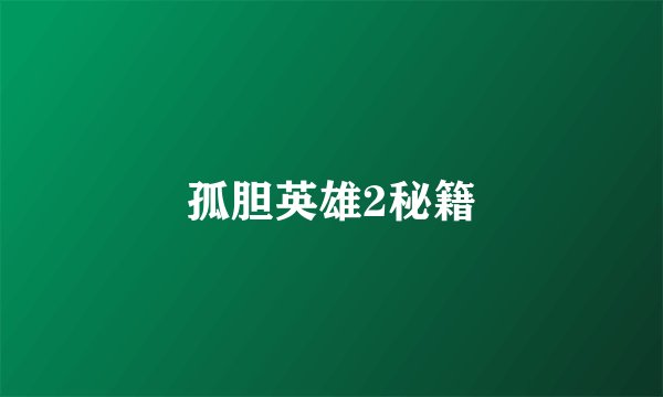 孤胆英雄2秘籍