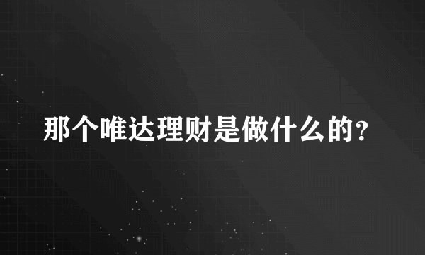 那个唯达理财是做什么的？