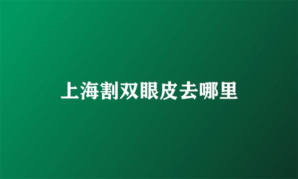 上海割双眼皮去哪里