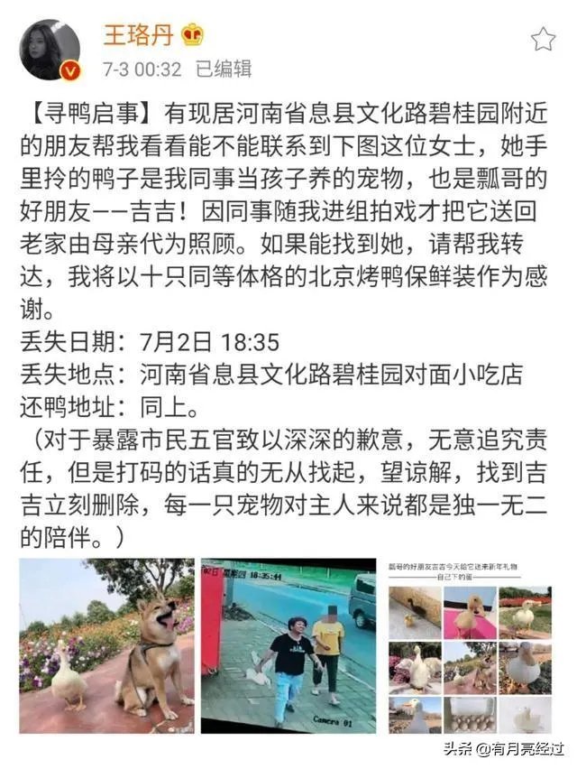 如何评价王珞丹微博挂寻鸭启事？