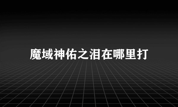 魔域神佑之泪在哪里打