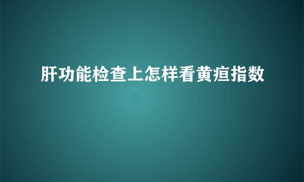 肝功能检查上怎样看黄疸指数