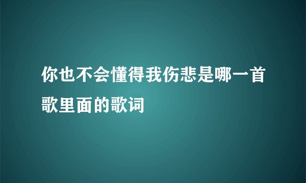 你也不会懂得我伤悲是哪一首歌里面的歌词