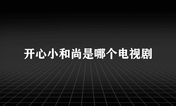 开心小和尚是哪个电视剧